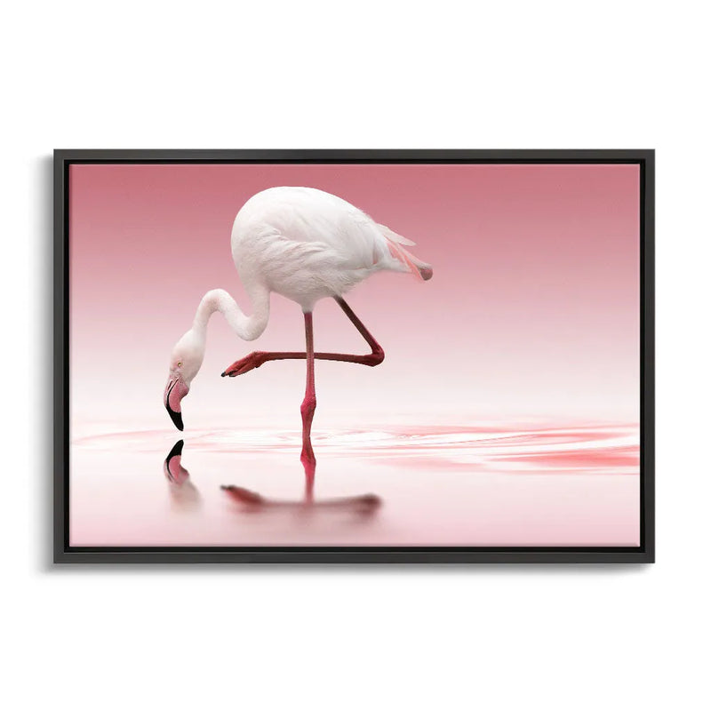 "FLAMINGO"