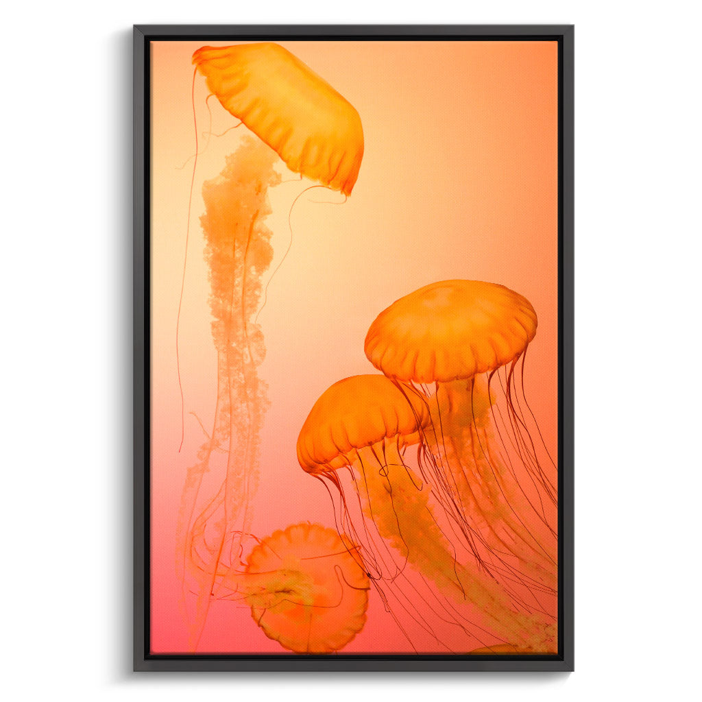 "FIRE ORANGE JELLYFISH"