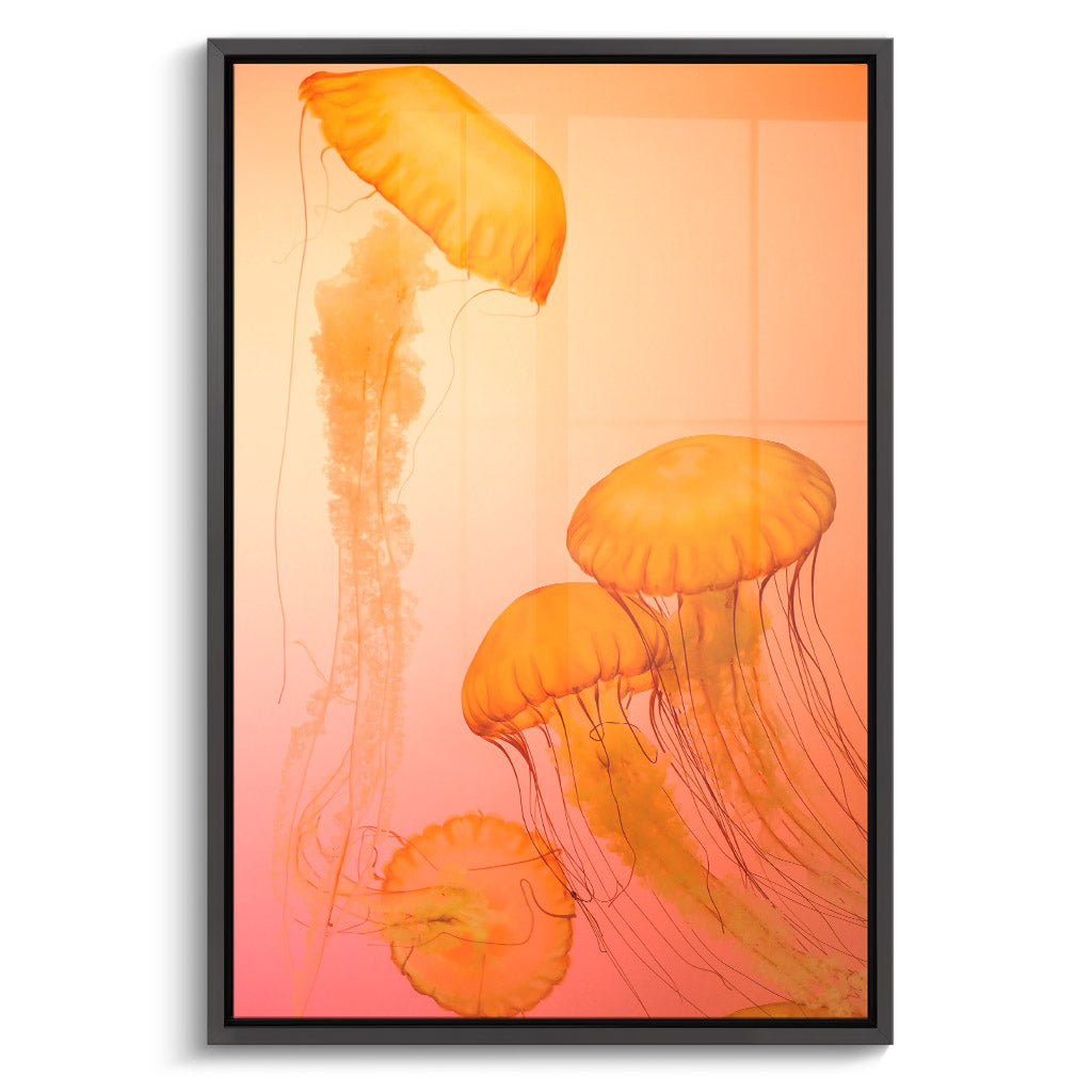 "FIRE ORANGE JELLYFISH"