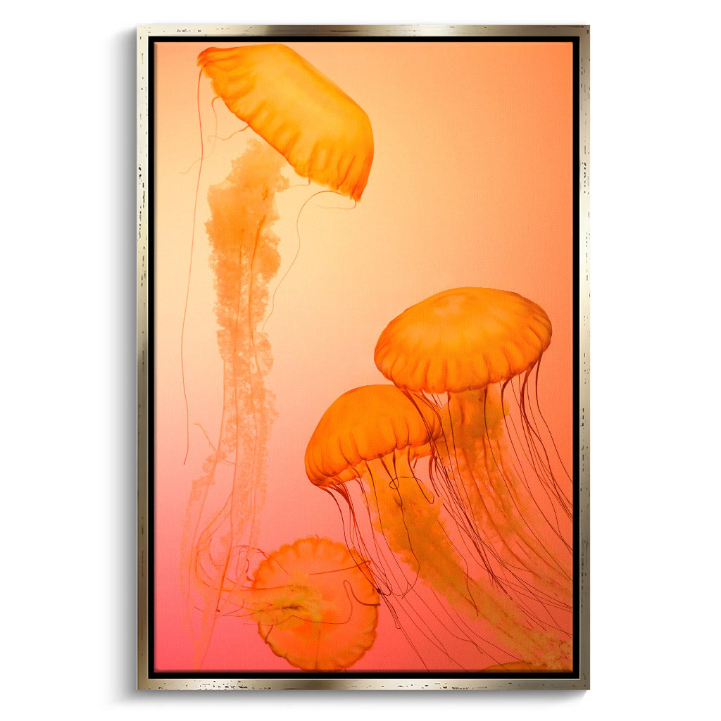 "FIRE ORANGE JELLYFISH"