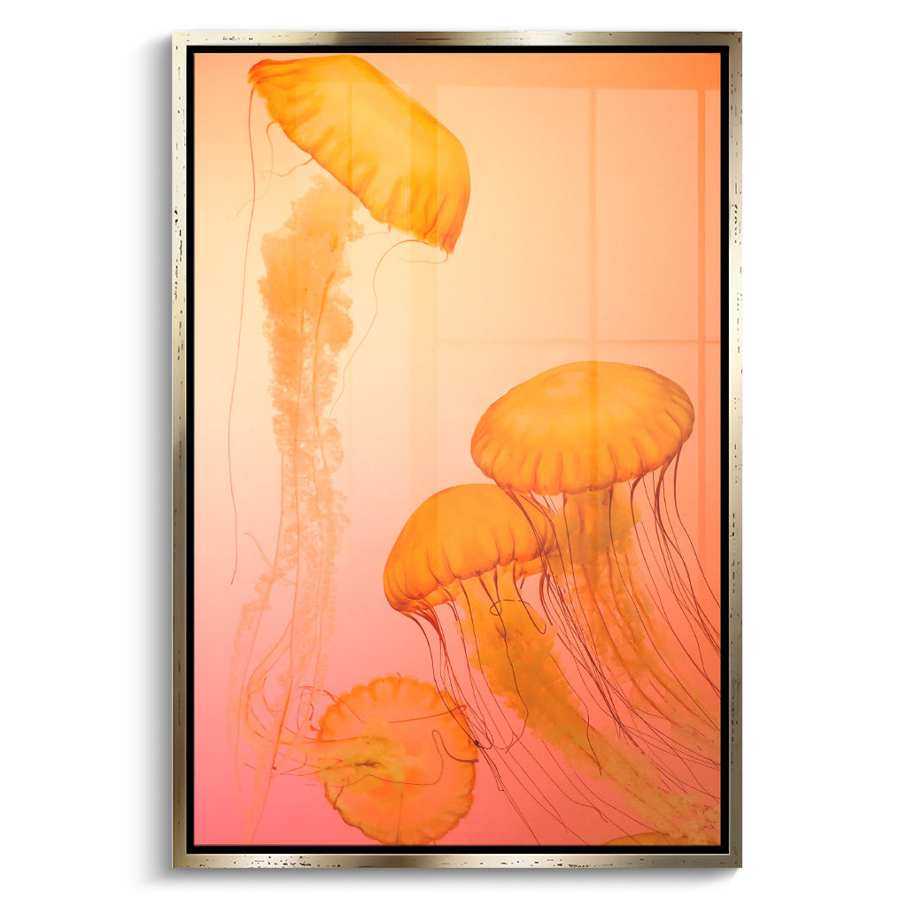 "FIRE ORANGE JELLYFISH"