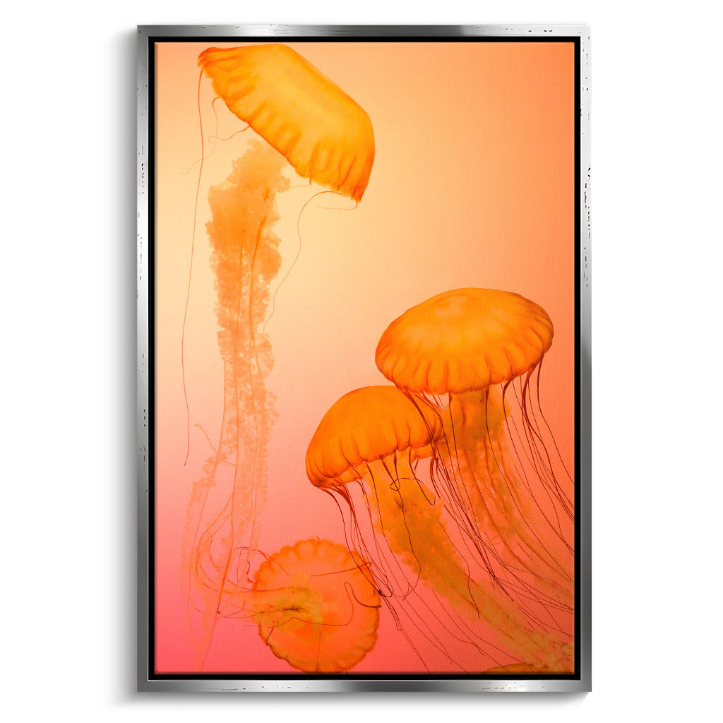 "FIRE ORANGE JELLYFISH"