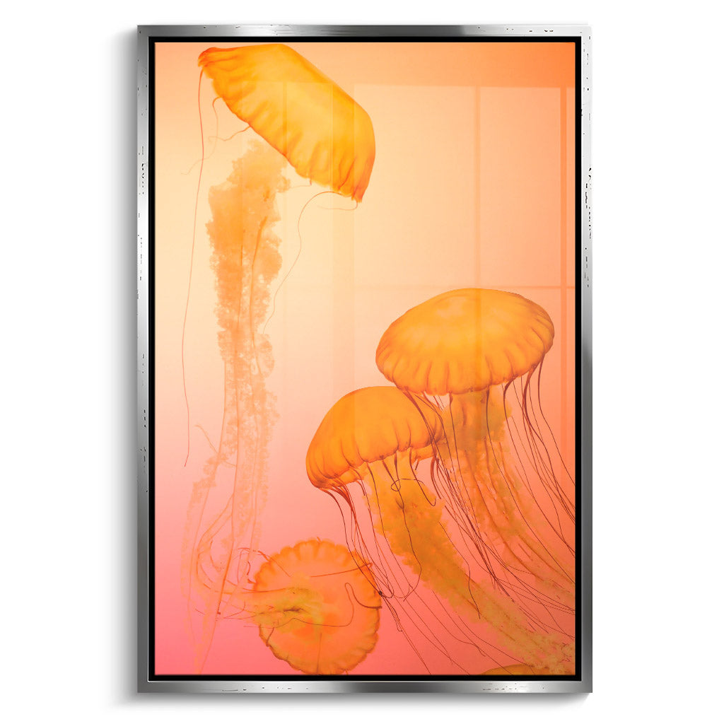 "FIRE ORANGE JELLYFISH"