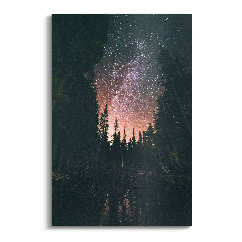 "FOREST AT NIGHT"