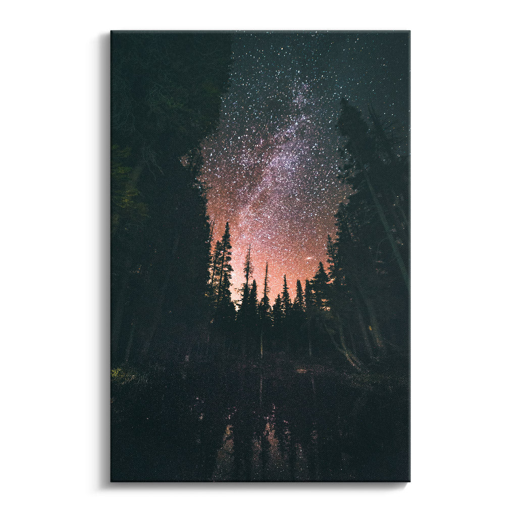 "FOREST AT NIGHT"