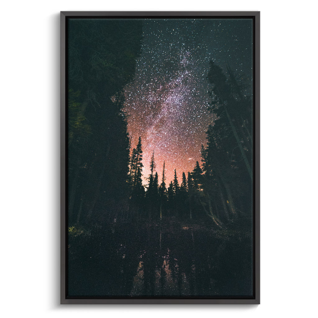 "FOREST AT NIGHT"