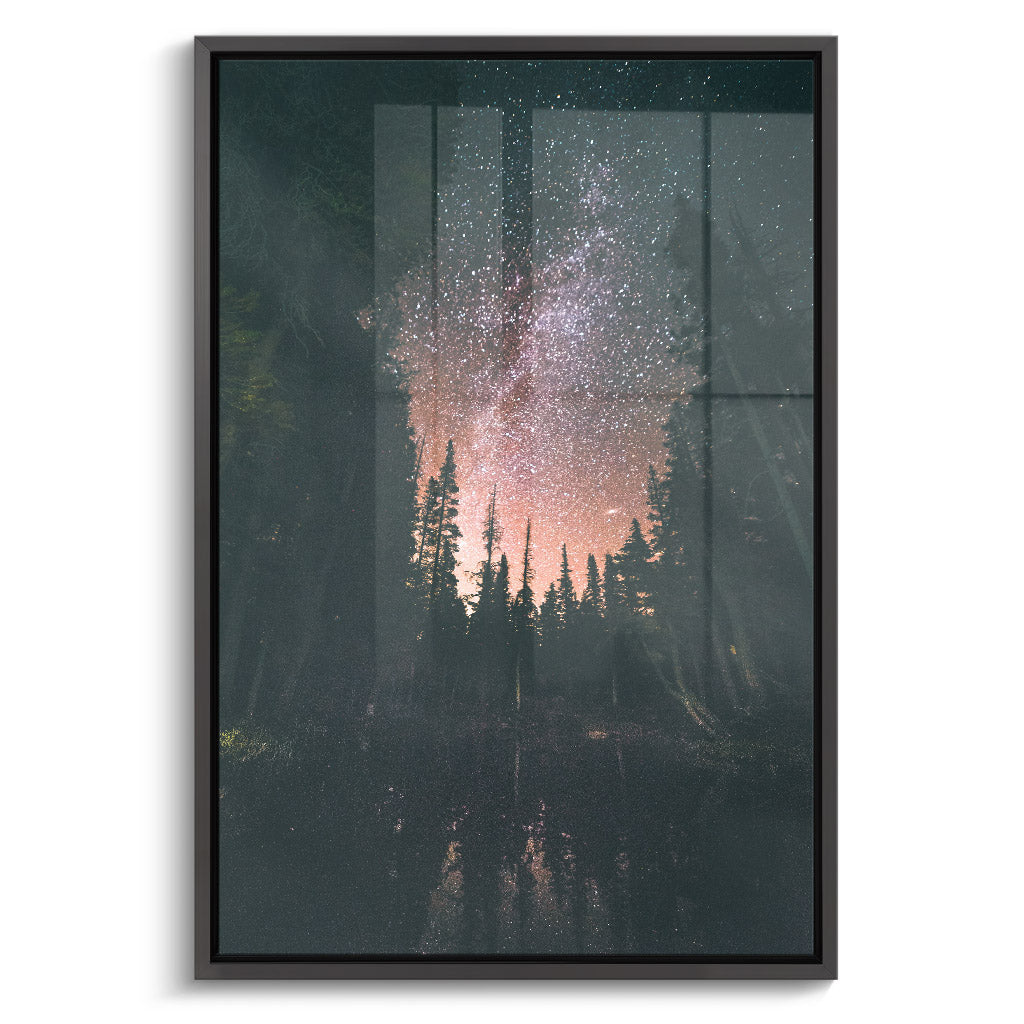 "FOREST AT NIGHT"