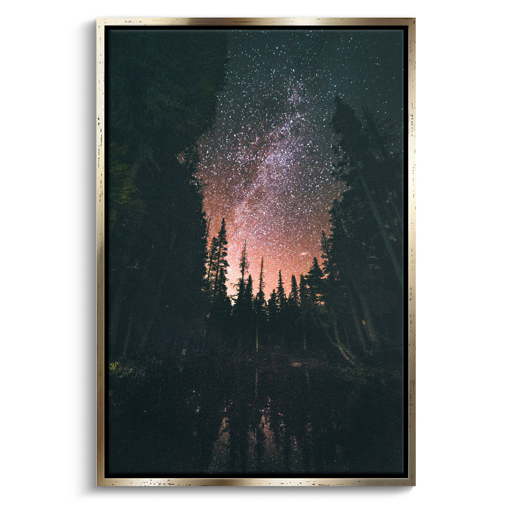 "FOREST AT NIGHT"