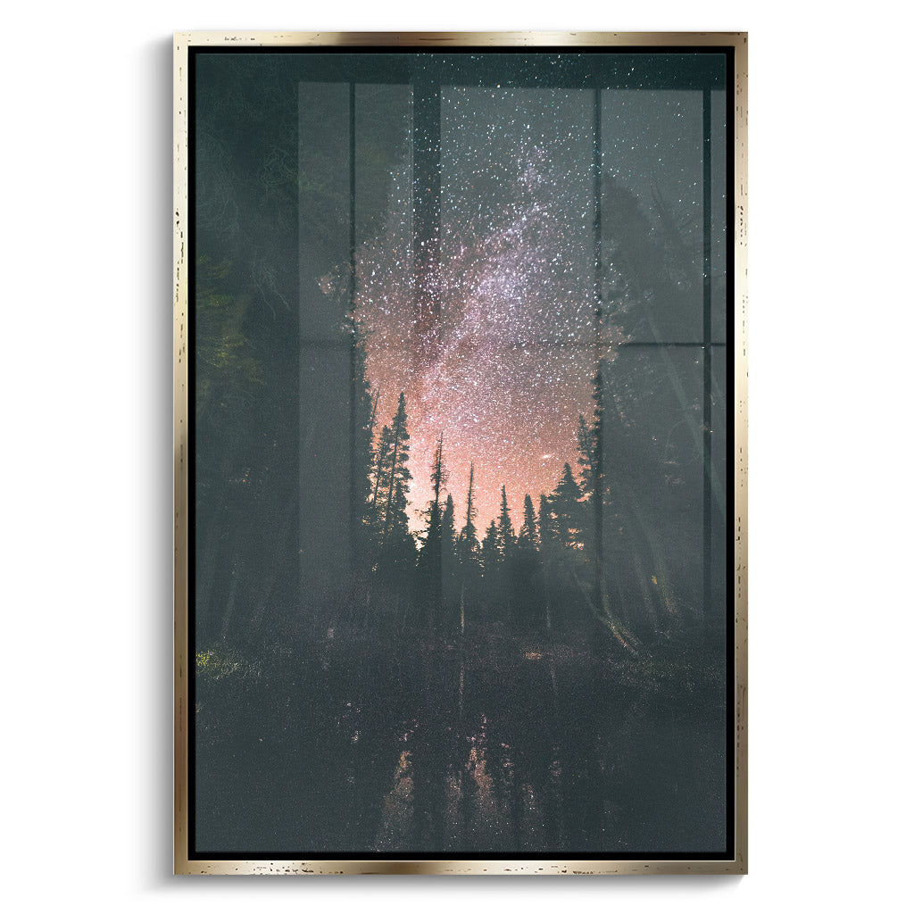 "FOREST AT NIGHT"