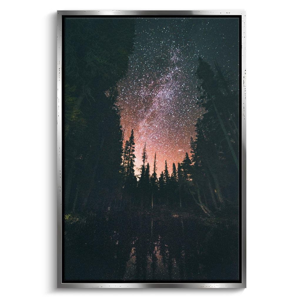 "FOREST AT NIGHT"