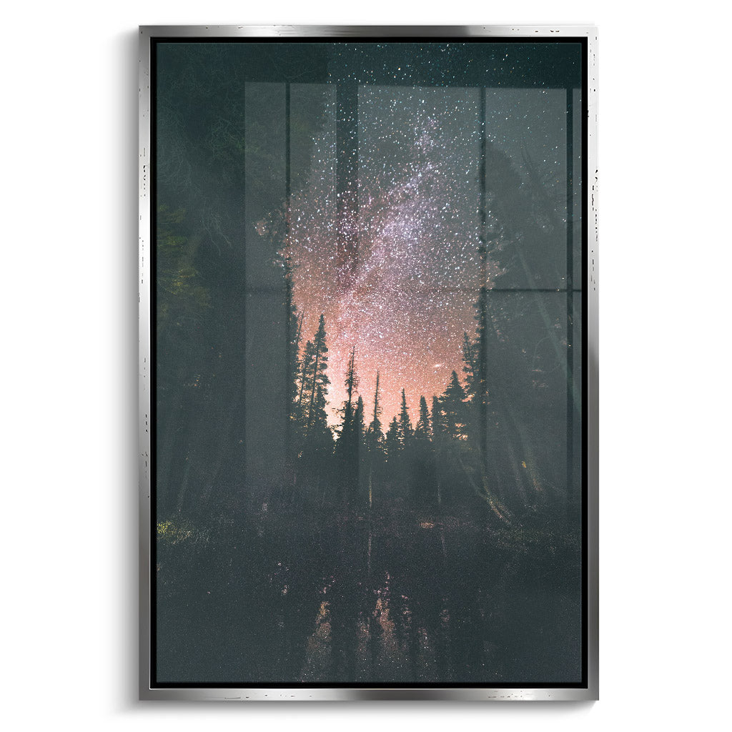 "FOREST AT NIGHT"