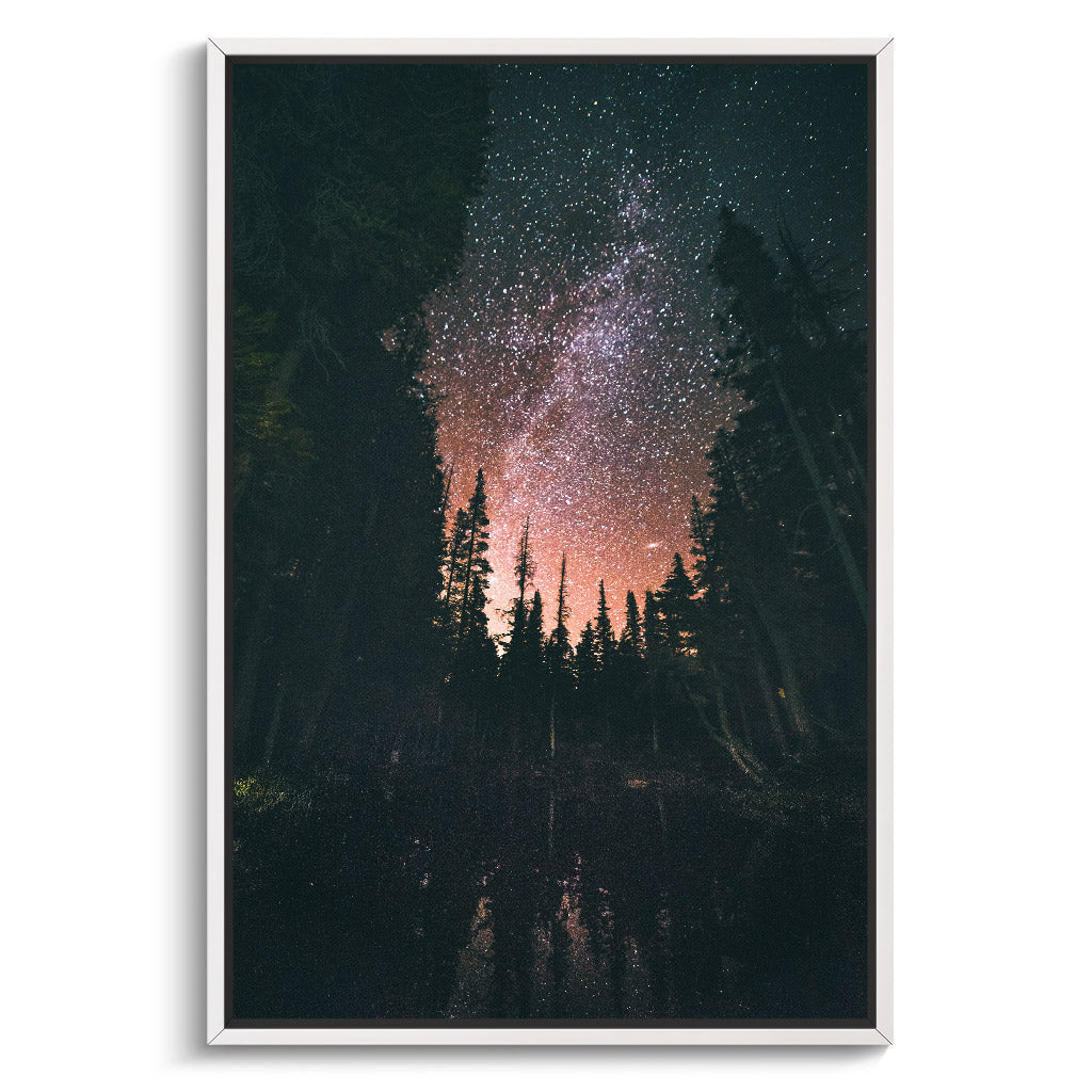 "FOREST AT NIGHT"