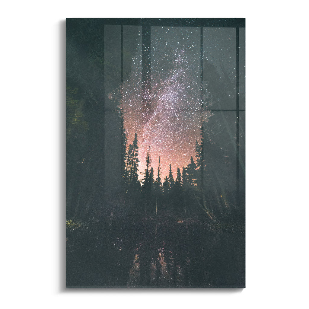 "FOREST AT NIGHT"