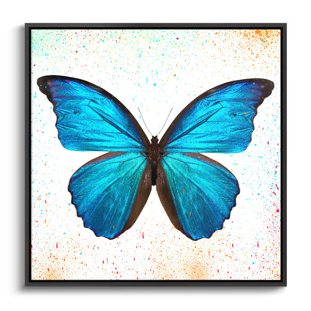 "BUTTERFLY EFFECT"