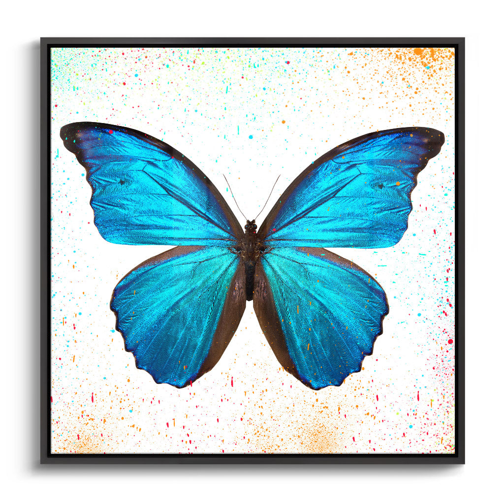 "BUTTERFLY EFFECT"