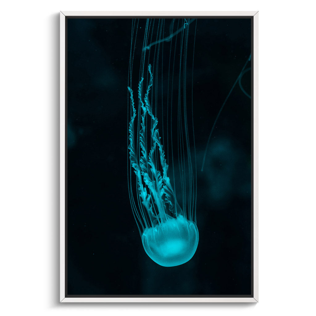 "BLUE JELLY FISH"