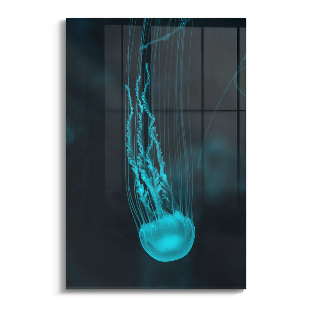 "BLUE JELLY FISH"