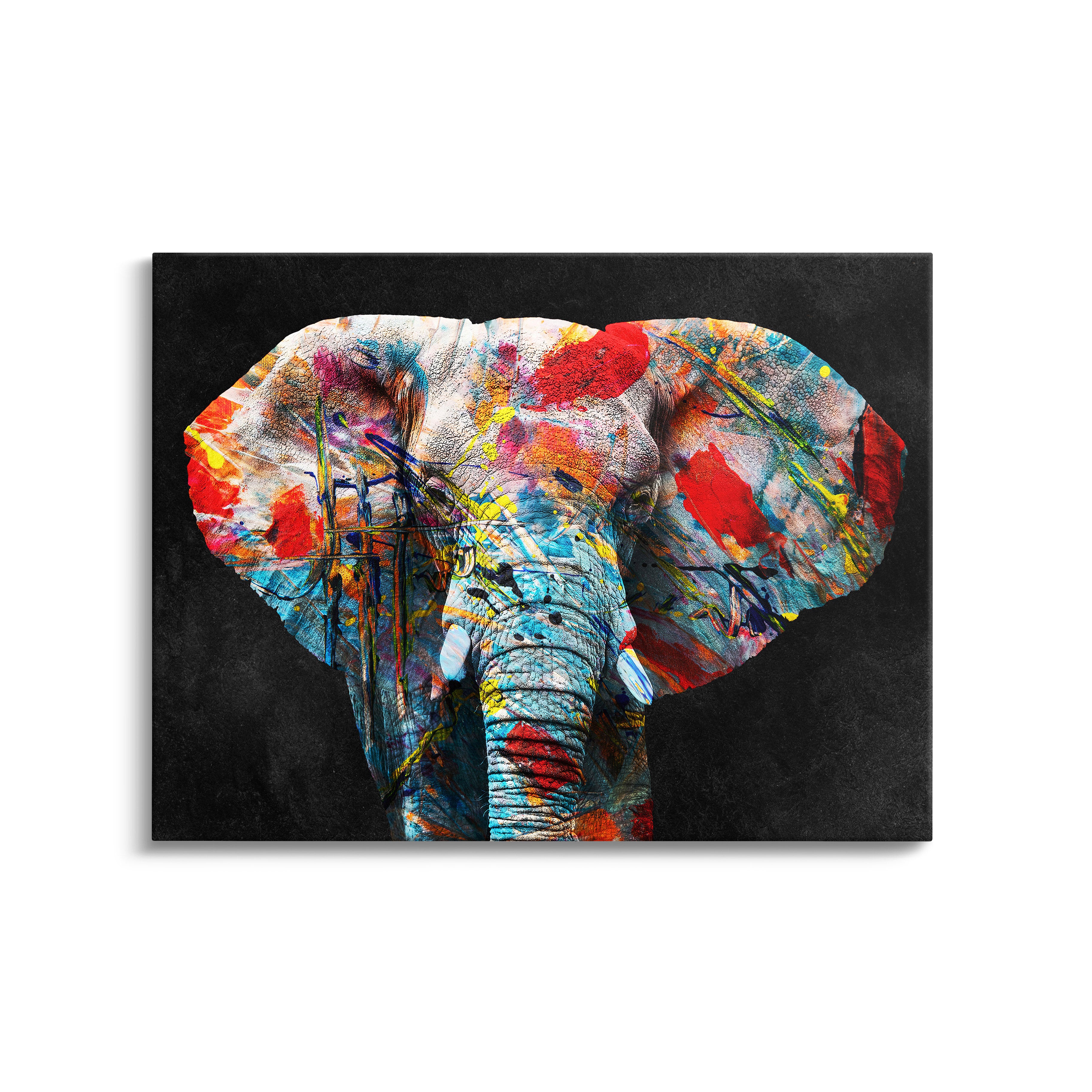 "COLORFUL ELEPHANT"