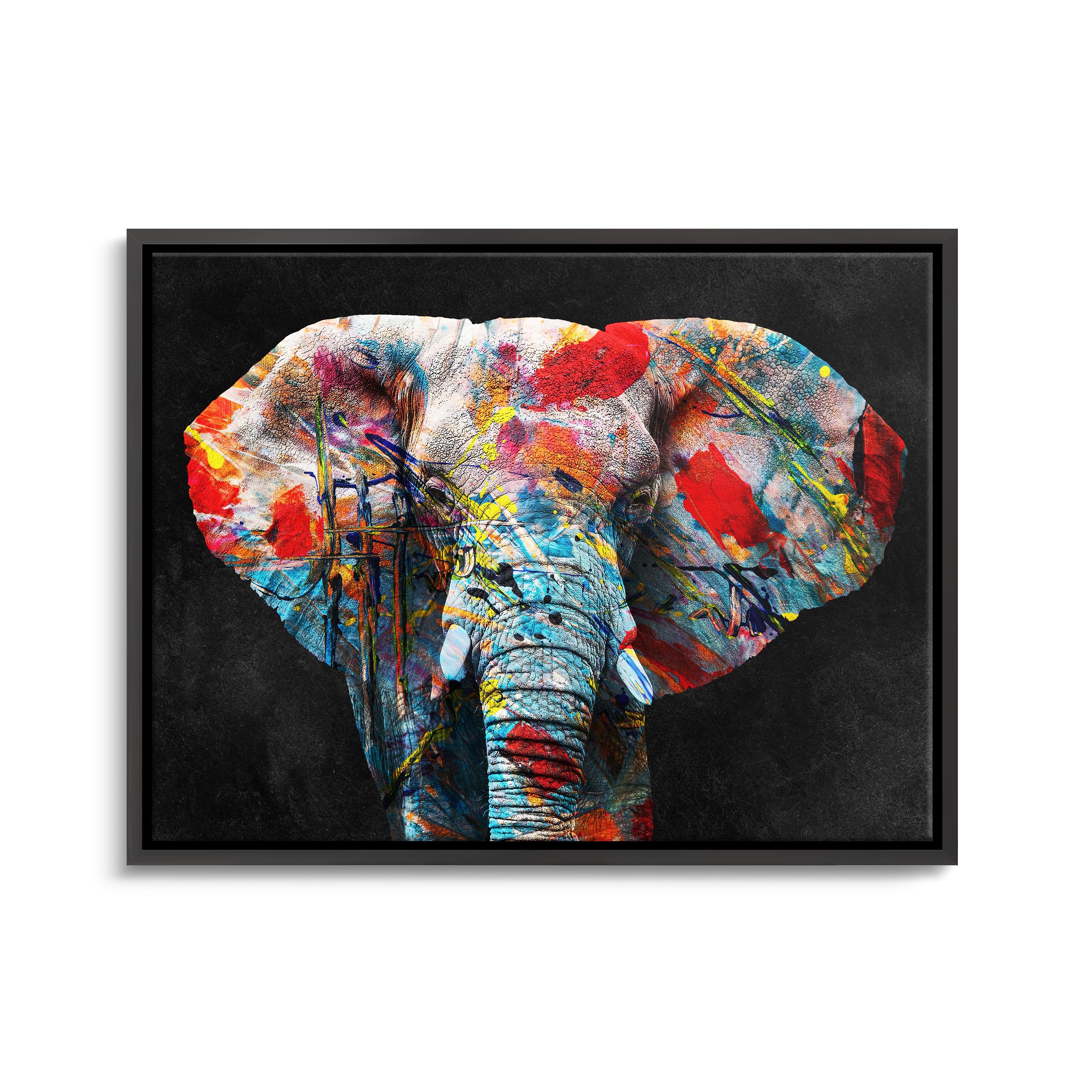 "COLORFUL ELEPHANT"