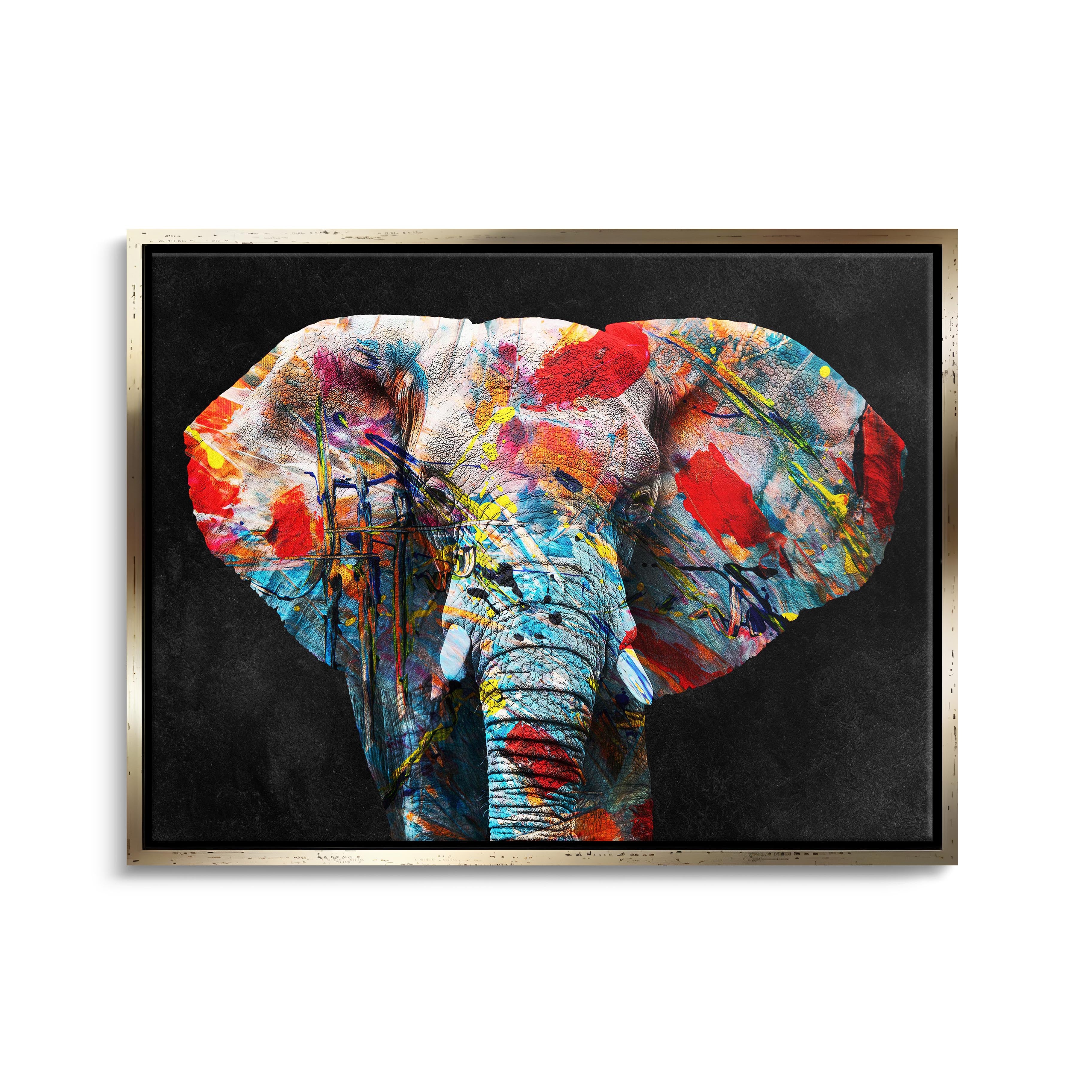 "COLORFUL ELEPHANT"