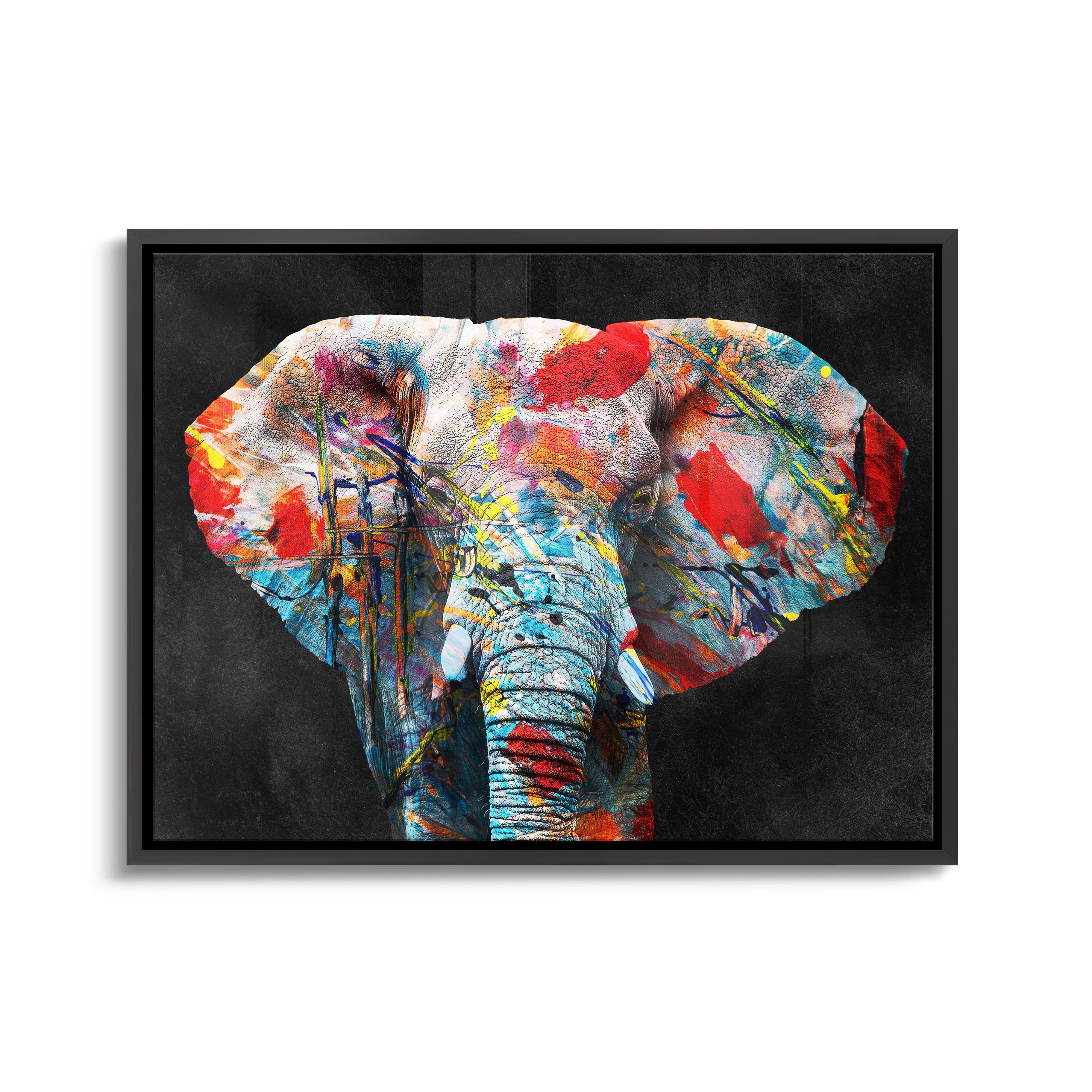 "COLORFUL ELEPHANT"