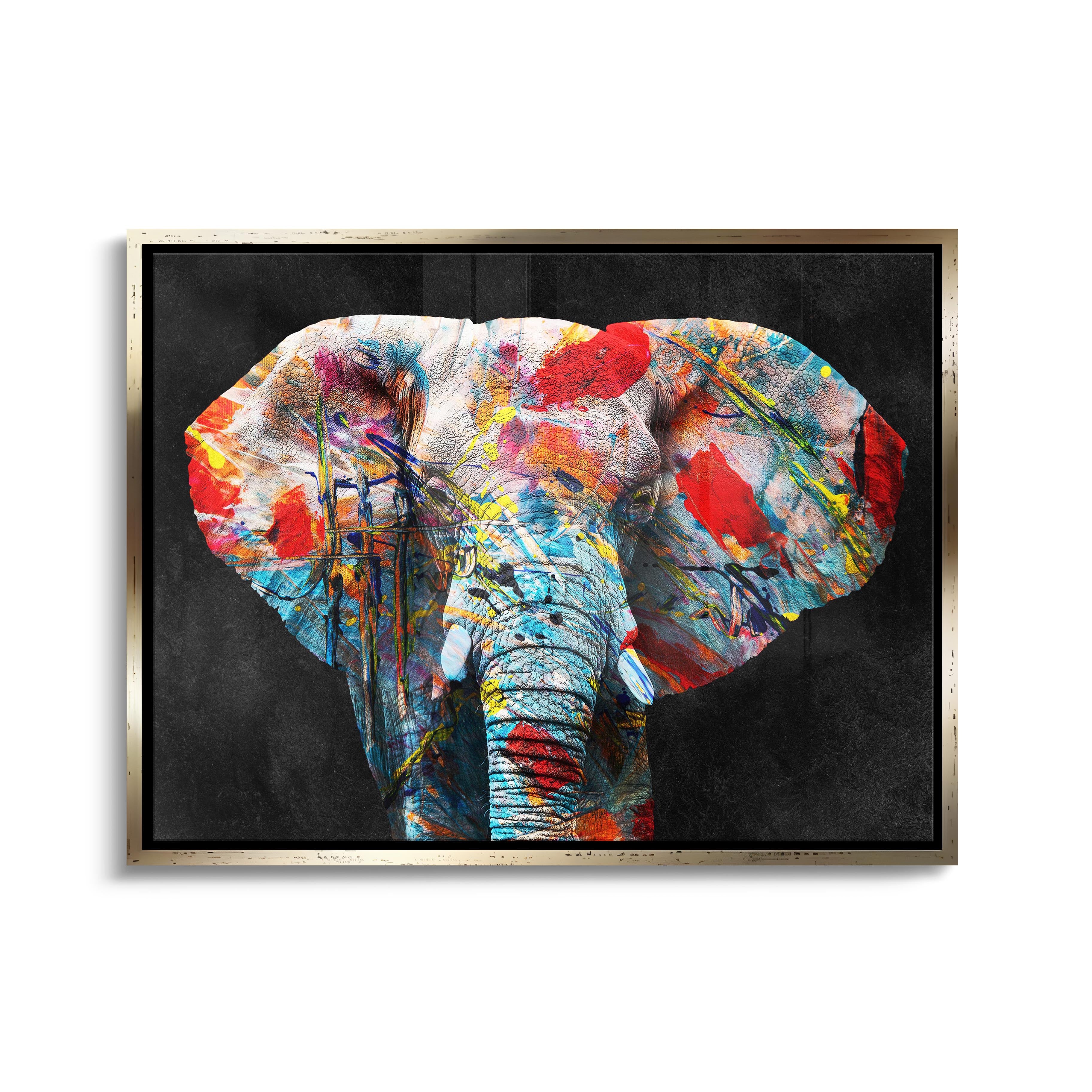 "COLORFUL ELEPHANT"