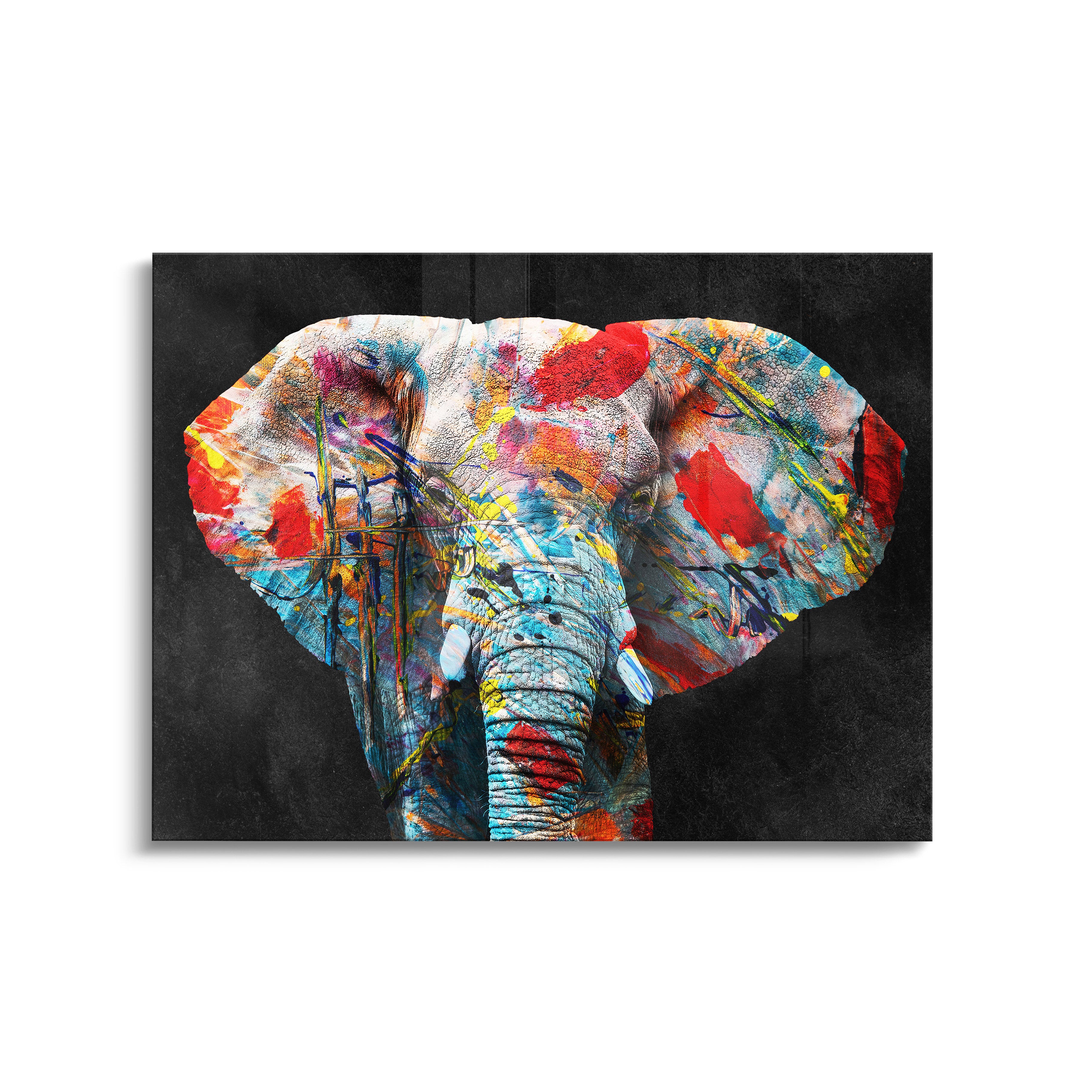 "COLORFUL ELEPHANT"