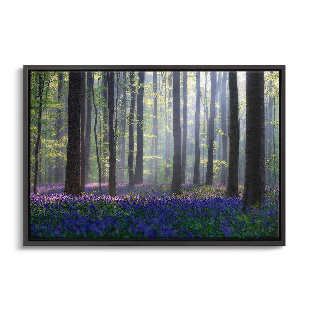 "BLUEBELLS"