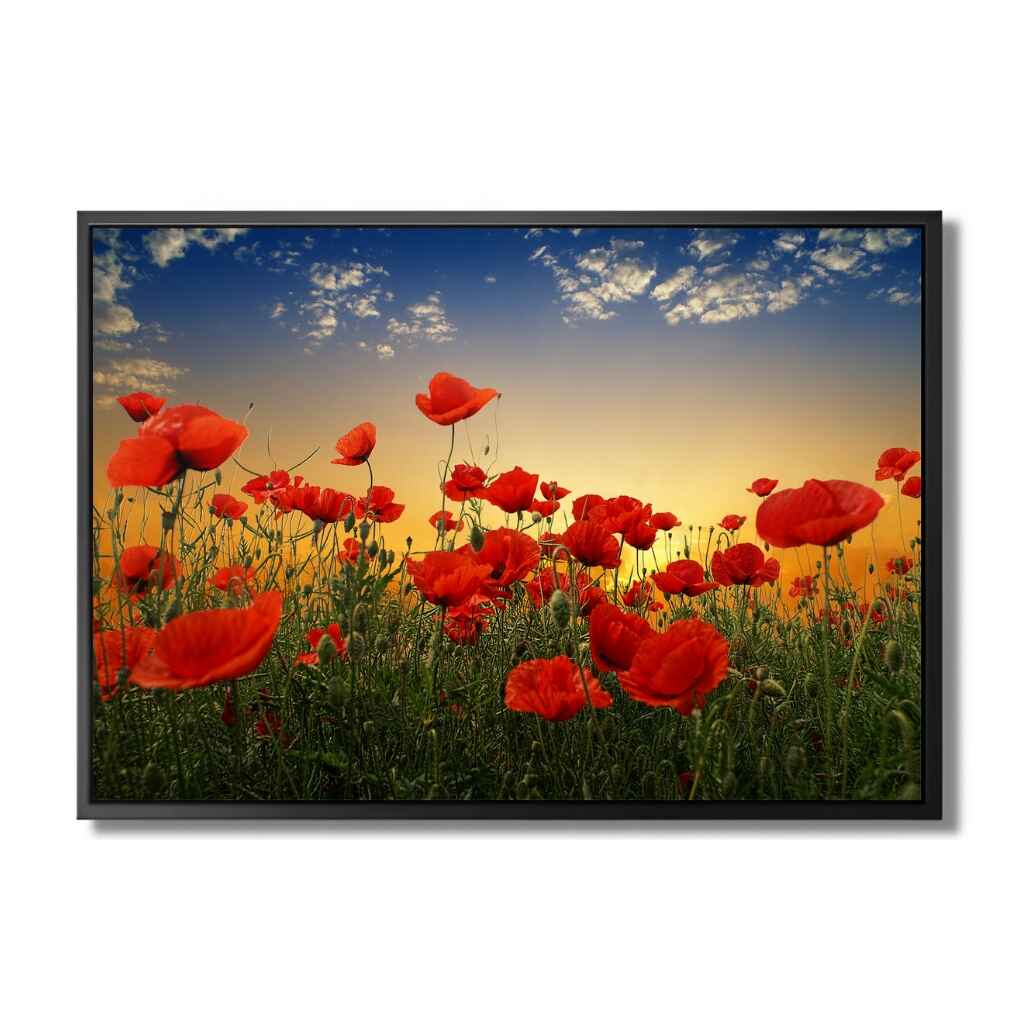 "POPPIES" - Art For Everyone