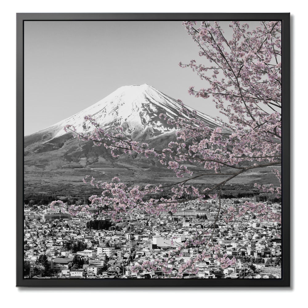 "MOUNT FUJI CHERRY BLOSSOM"