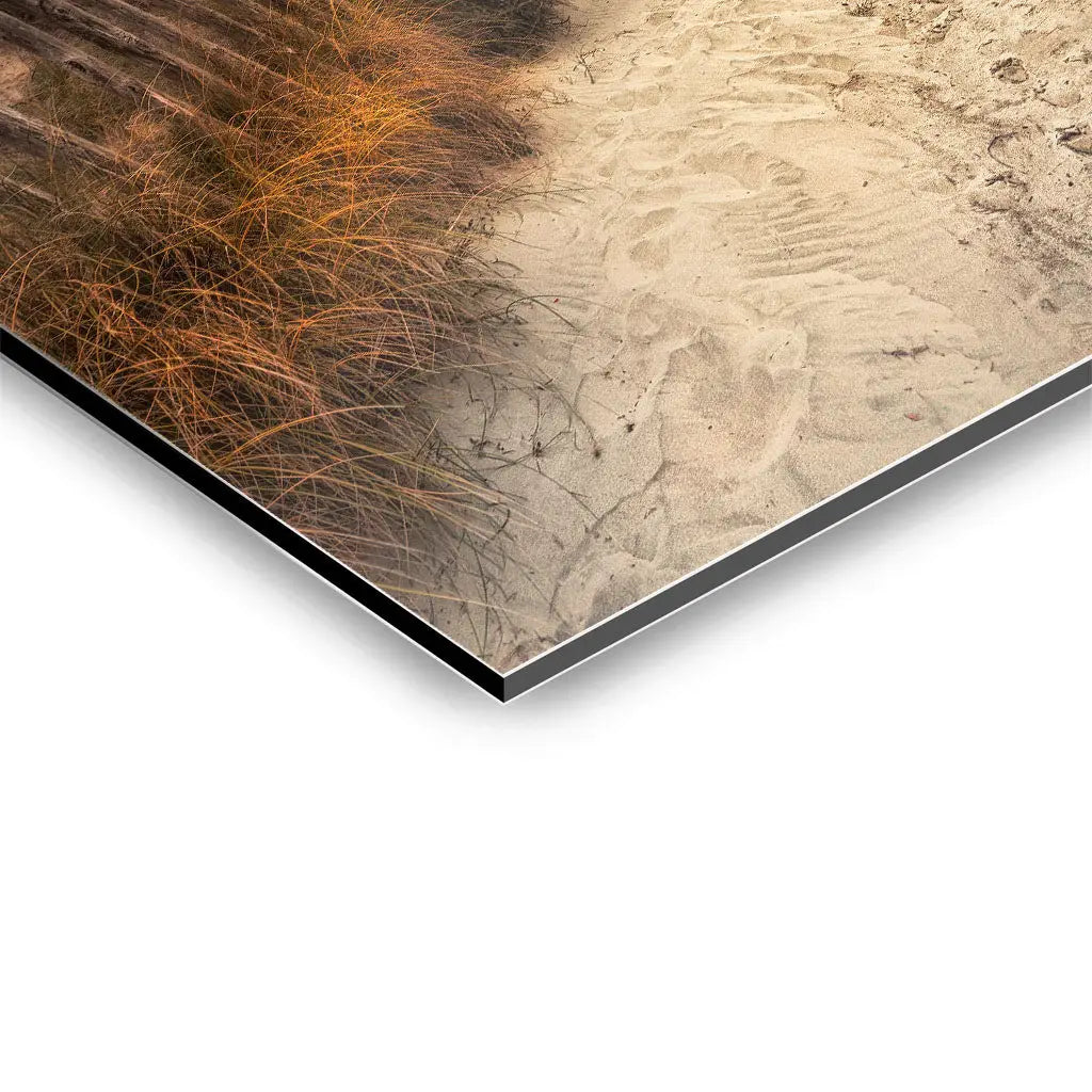 "THE PATH THAT LED TO YOU"