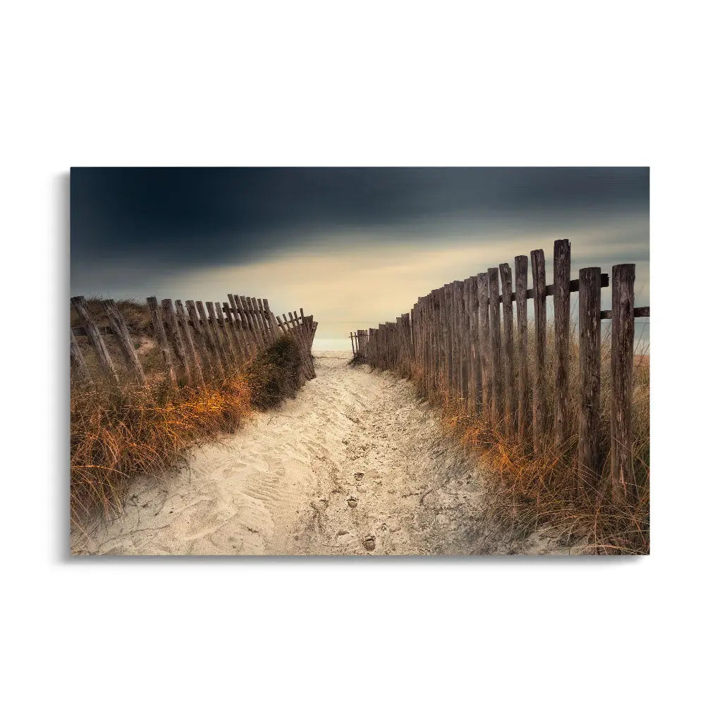 "THE PATH THAT LED TO YOU"