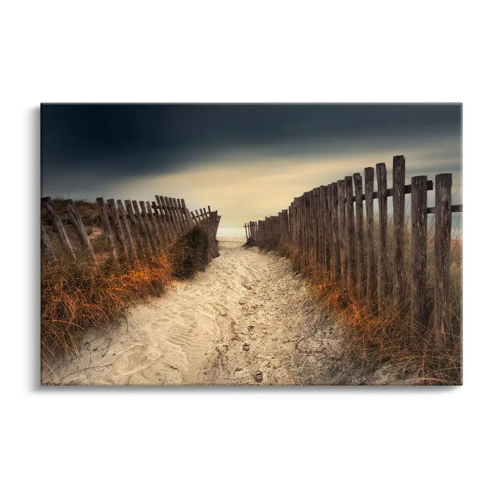 "THE PATH THAT LED TO YOU"