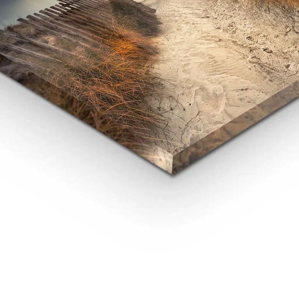 "THE PATH THAT LED TO YOU"