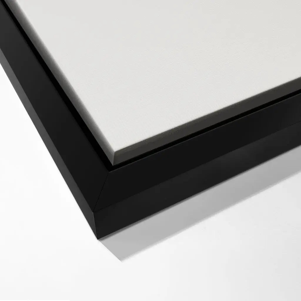 "GENTLE EQUINE GAZE"