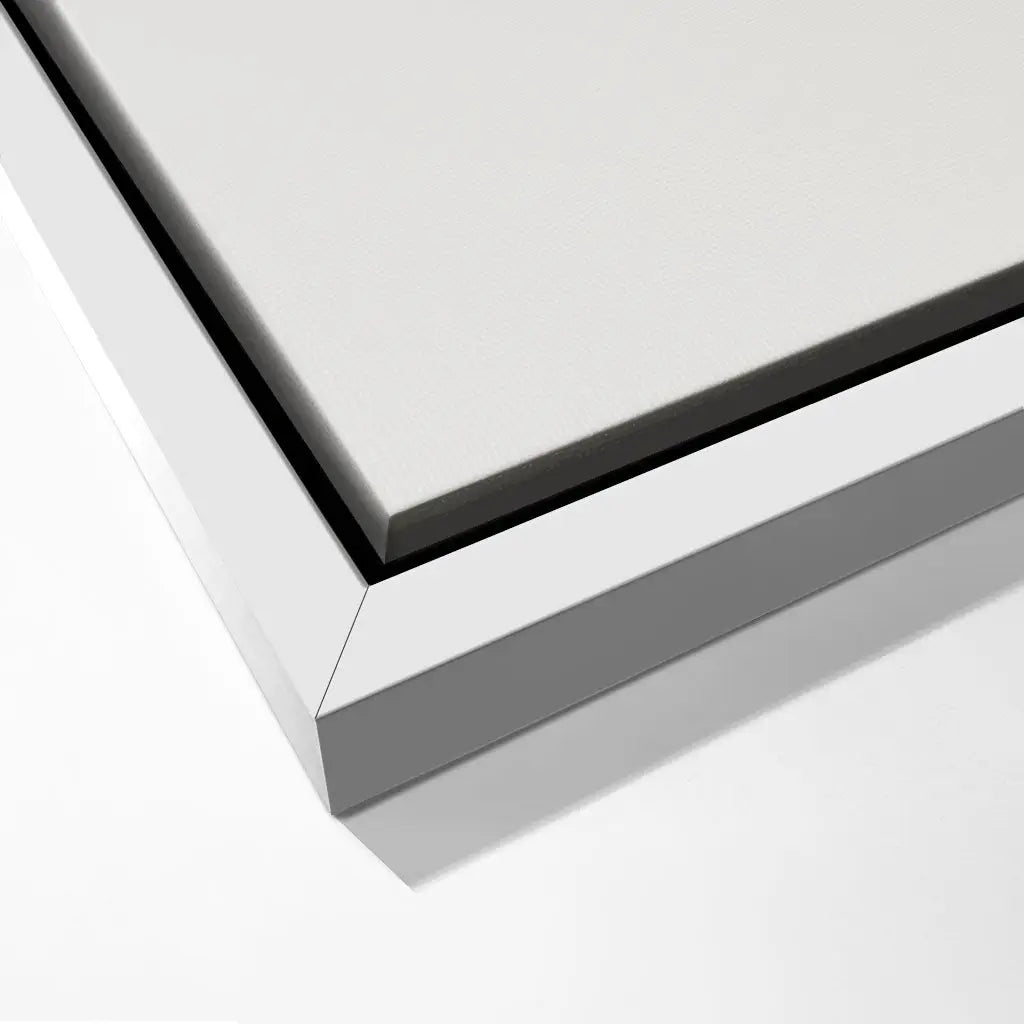 "GENTLE EQUINE GAZE"