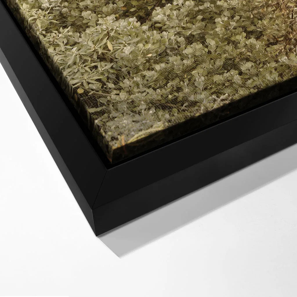 "PATHWAY TO TRANQUILITY"