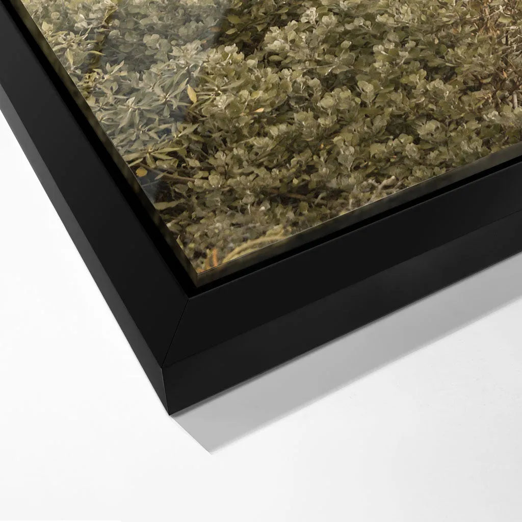 "PATHWAY TO TRANQUILITY"