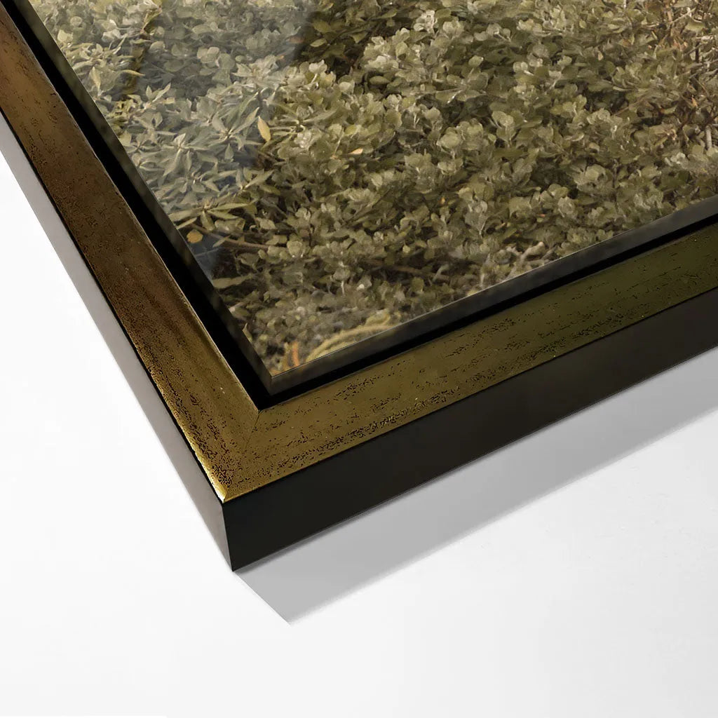 "PATHWAY TO TRANQUILITY"