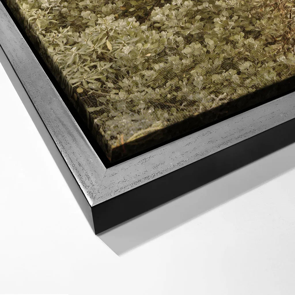 "PATHWAY TO TRANQUILITY"