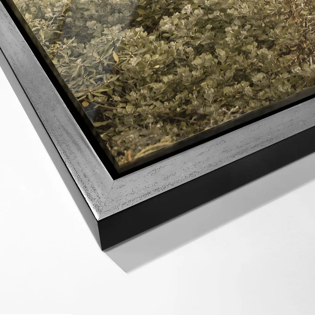 "PATHWAY TO TRANQUILITY"