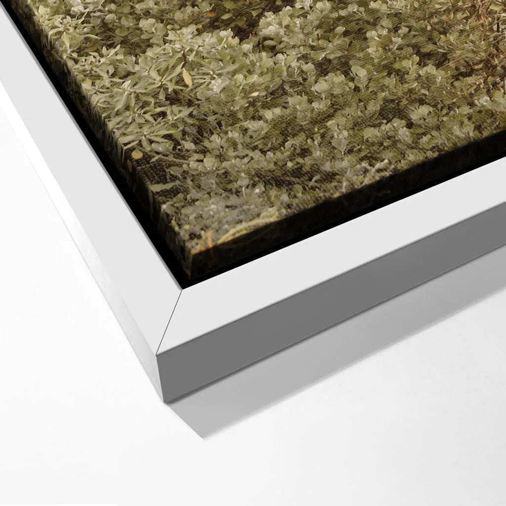 "PATHWAY TO TRANQUILITY"