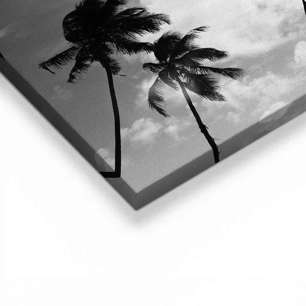 "SILHOUETTED PALMS"