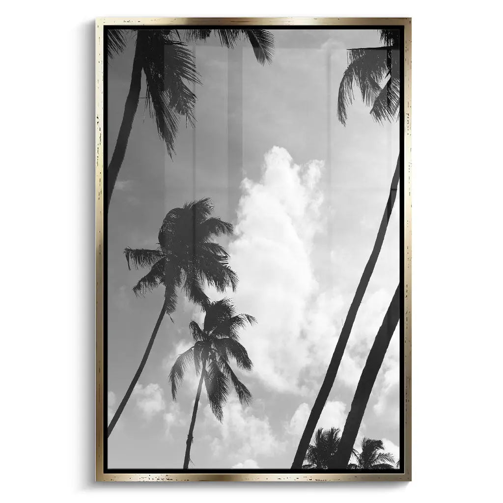 "SILHOUETTED PALMS"