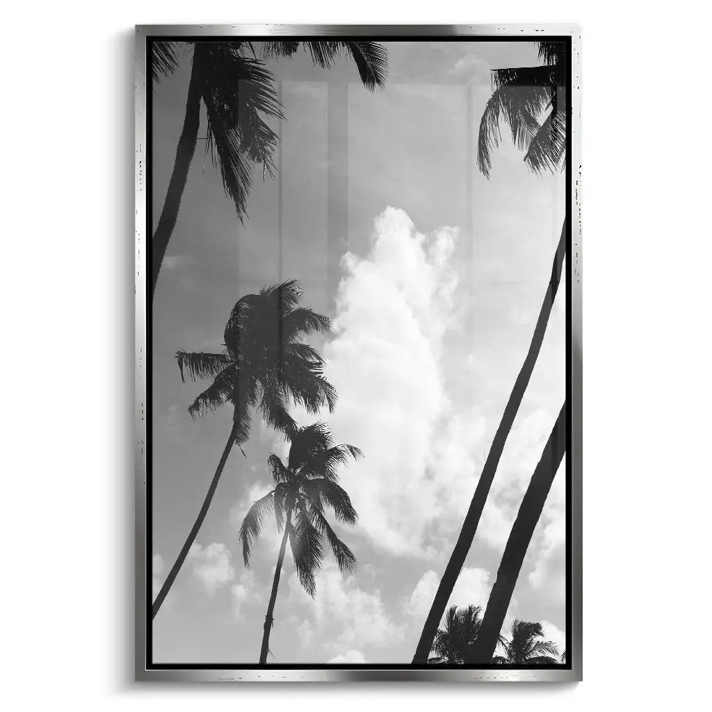 "SILHOUETTED PALMS"