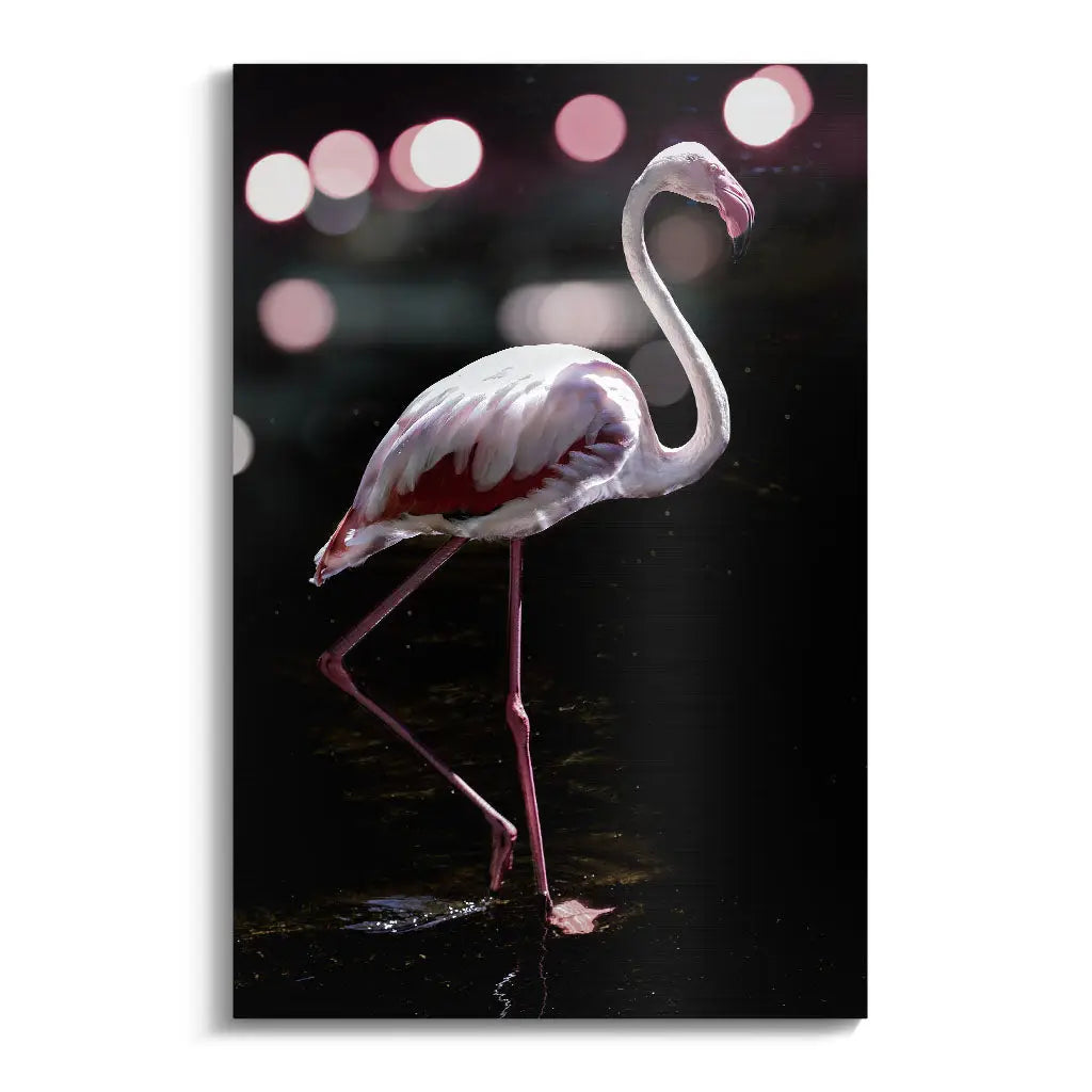 "ELEGANT FLAMINGO"
