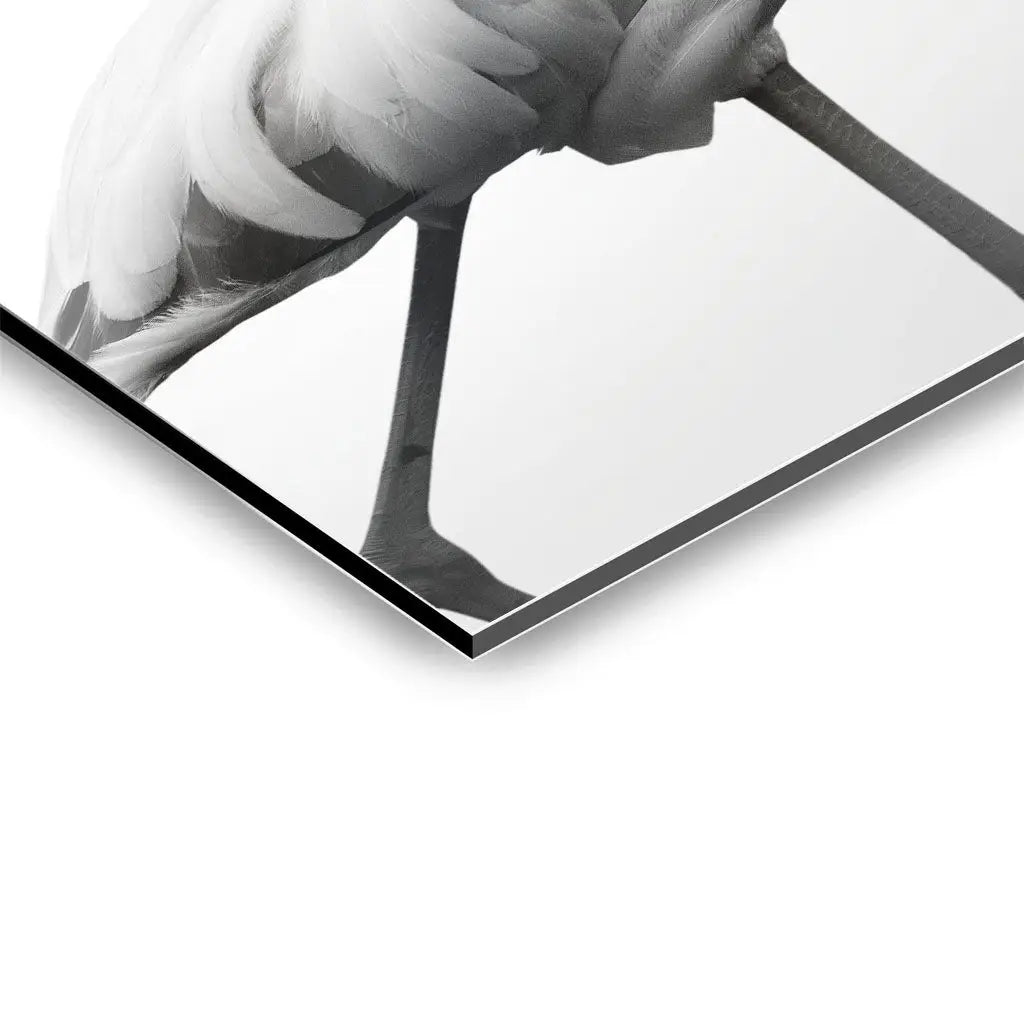 "GRACEFUL SILHOUETTE"