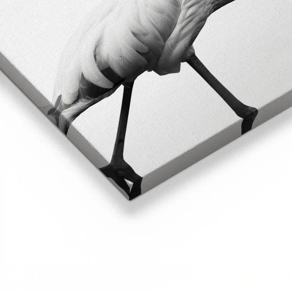 "GRACEFUL SILHOUETTE"