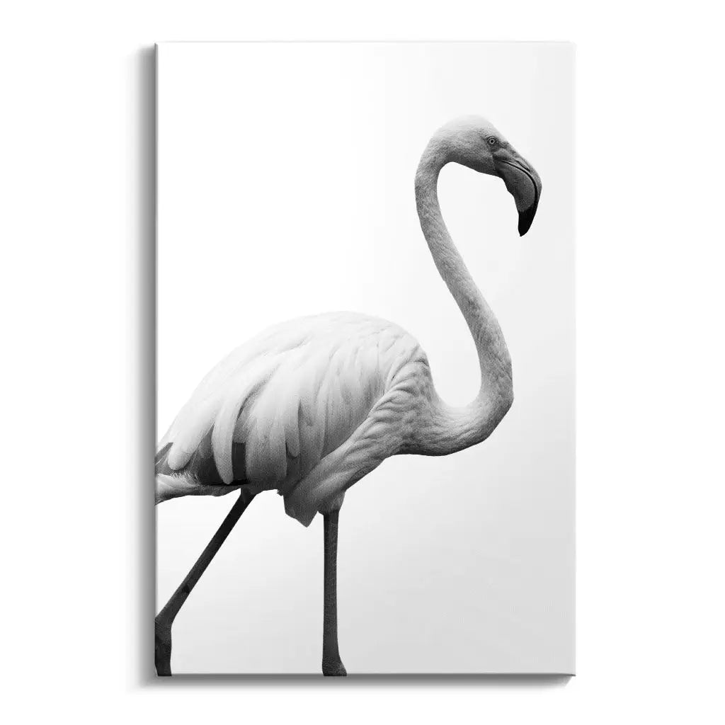 "GRACEFUL SILHOUETTE"