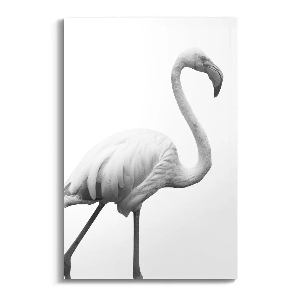 "GRACEFUL SILHOUETTE"